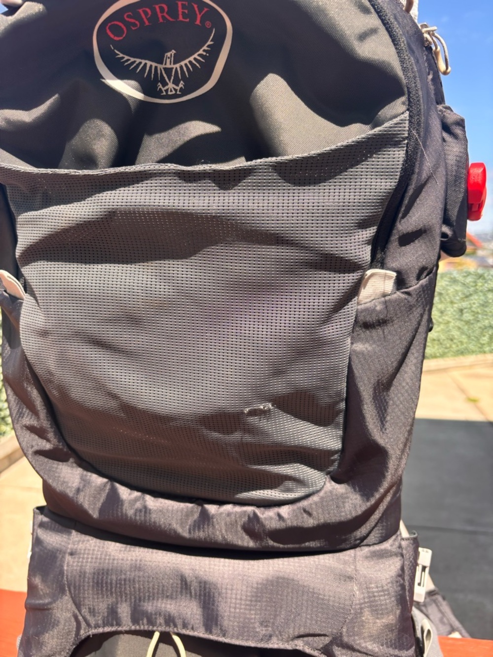 OSPREY Black and Light Gray Child Carrier Backpack with Sunshade - Picture 4 of 6